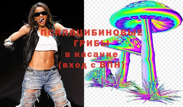 гидра Лагань